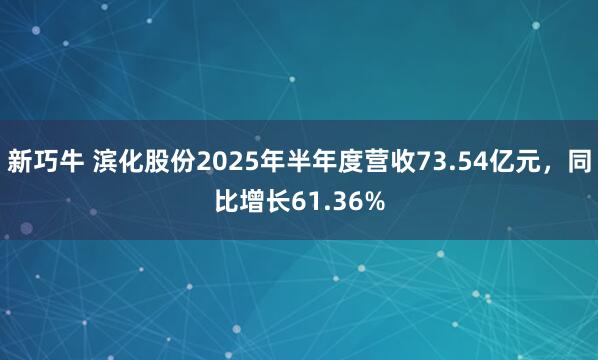 新巧牛 滨化股份2025年半年度营收73.54亿元，同比增长61.36%