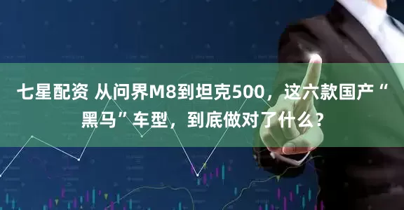 七星配资 从问界M8到坦克500，这六款国产“黑马”车型，到底做对了什么？