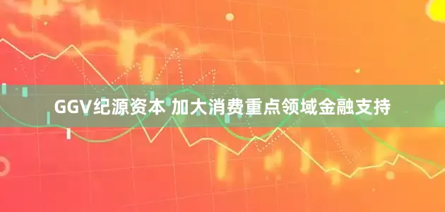 GGV纪源资本 加大消费重点领域金融支持